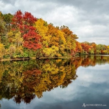 Fall Reflections